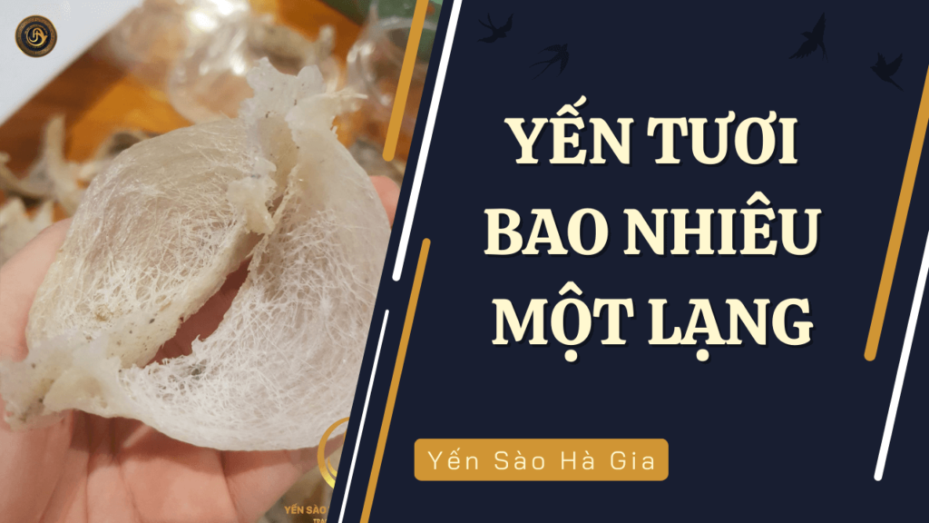 yen-tuoi-bao-nhieu-mot-lang