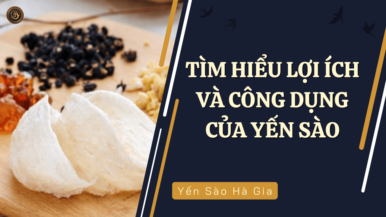 loi-ich-va-cong-dung-yen-sao