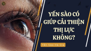 yen-sao-co-giup-cai-thien-thi-luc-khong