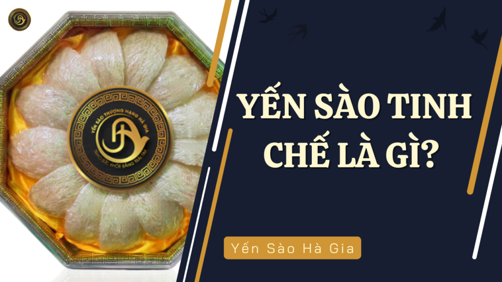 yen-sao-tinh-che-la-gi