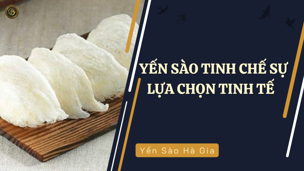 Yen-sao-tinh-che-su-lua-chon-tinh-te