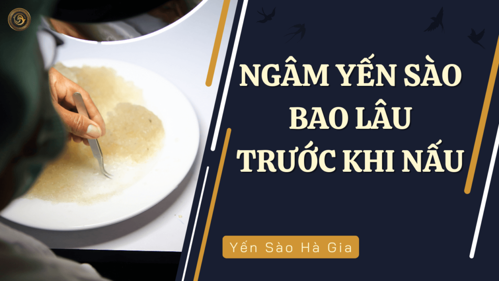 ngam-yen-sao-bao-lau-truoc-khi-nau