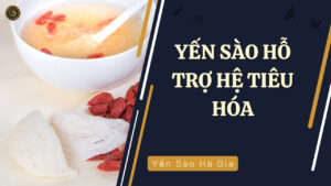 yen-sao-ho-tro-he-tieu-hoa