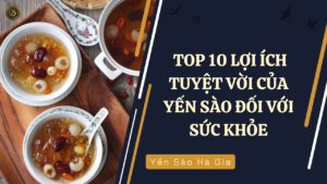 top10-loi-ich-tuyet-voi-cua-yen-sao