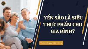 yen-sao-sieu-thuc-pham-cho-gia-dinh