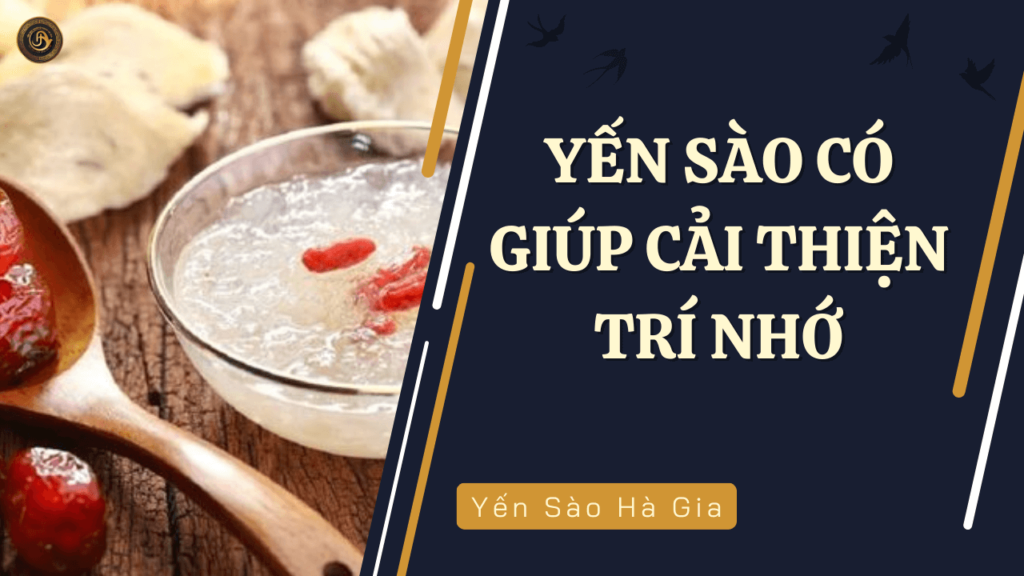 yen-sao-co-giup-cai-thien-tri-nho