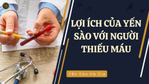 loi-ich-cua-yen-sao-voi-nguoi-thieu-mau