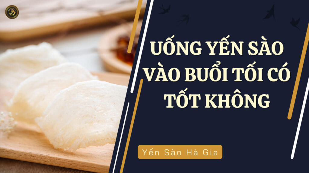 uong-yen-sao-vao-buoi-toi-co-tot-khong