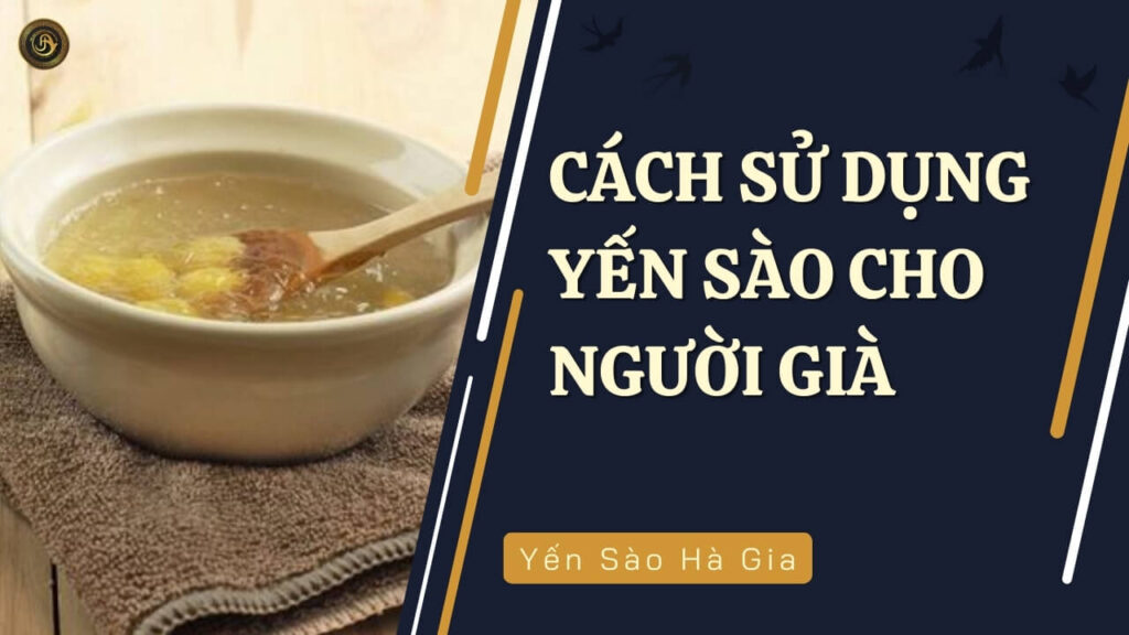 cách sử dụng yến sào cho người già