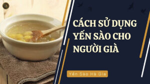 cách sử dụng yến sào cho người già