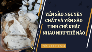 yen-sao-nguyen-chat-va-yen-sao-tinh-che-khac-nhau-nhu-the-nao