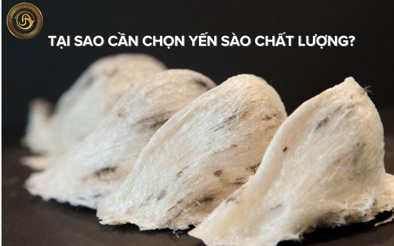 tai-sao-can-chon-yen-sao-chat-luong