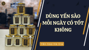 dung-yen-sao-moi-ngay-co-tot-khong