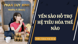 yen-sao-ho-tro-he-tieu-hoa-the-nao