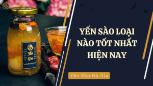 yen-sao-loai-nao-tot-nhat-hien-nay