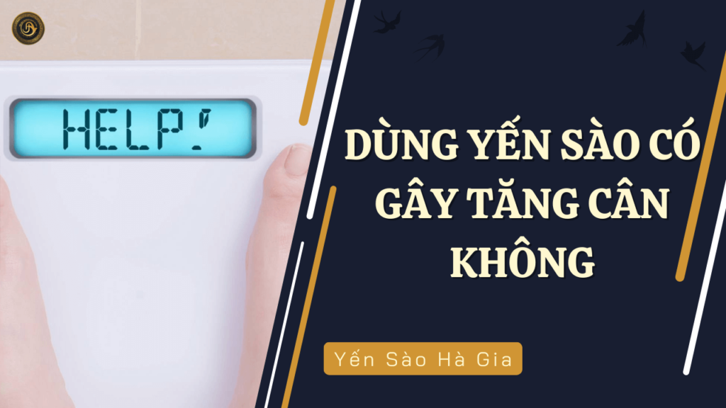 dung-yen-sao-co-gay-tang-can-khong