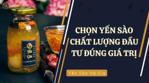 chon-yen-sao-chat-luong