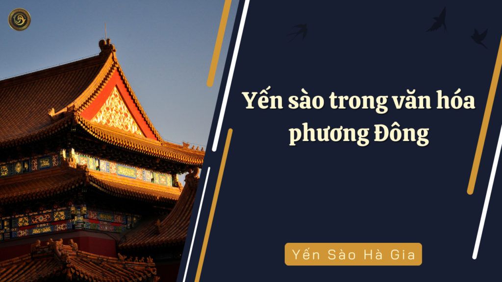 yen-sao-trong-van-hoa-phuong-dong